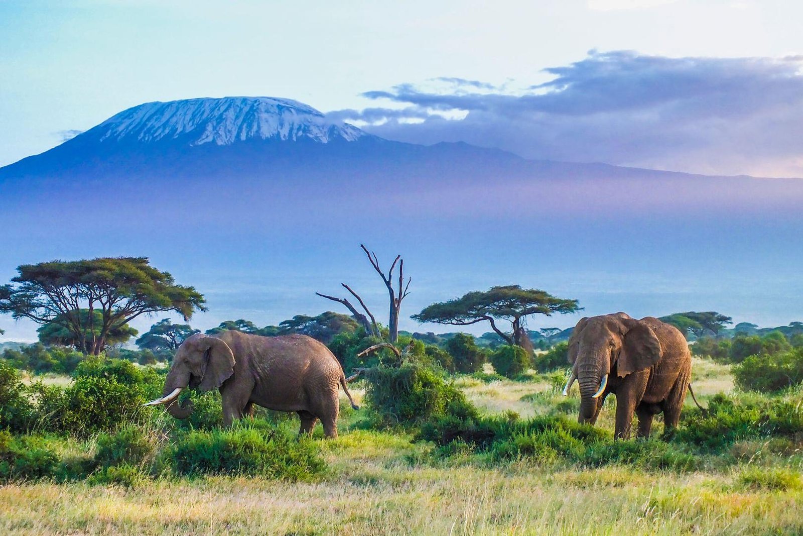 Hikers on the Machame Route, Kilimanjaro